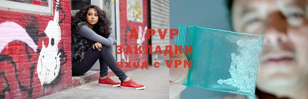 кокс Бородино