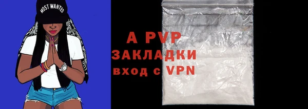 кокс Бородино