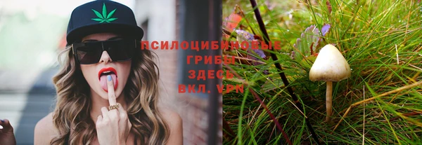 прущие грибы Верхнеуральск