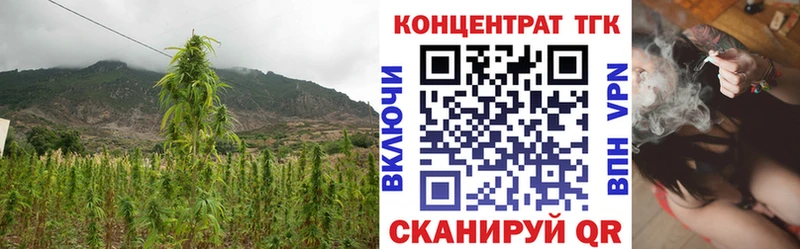 Дистиллят ТГК THC oil  ОМГ ОМГ маркетплейс  Гороховец 