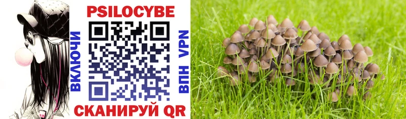Псилоцибиновые грибы Psilocybine cubensis  хочу   Гороховец 